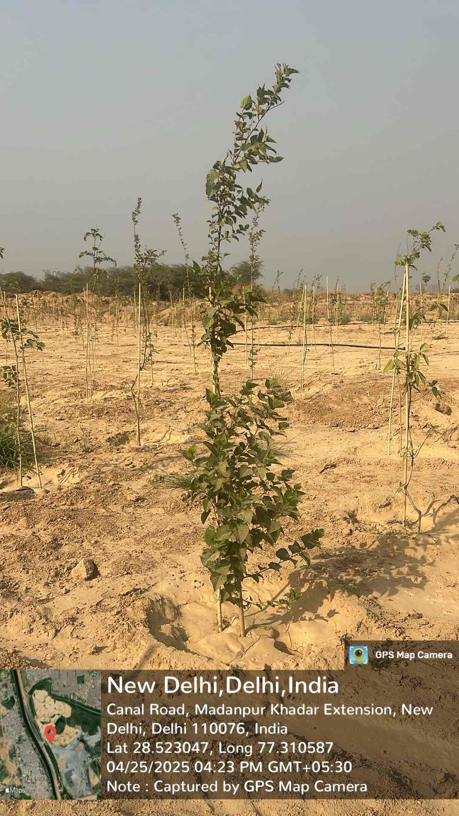 Compensatory Afforestation
